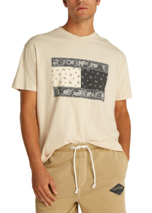 Tommy Hilfiger Jeans - Tommy Hilfiger Jeans T-shirt Heren